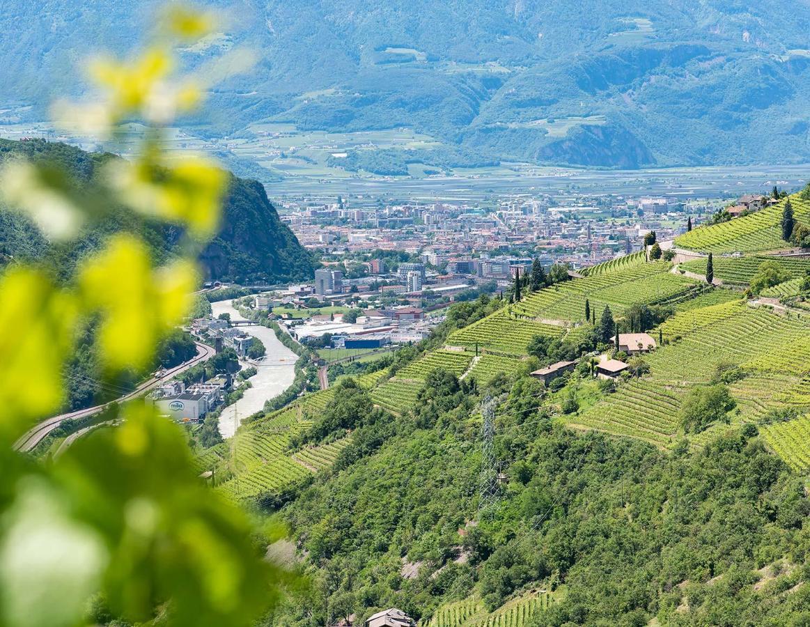 Weingut Schmid Oberrautner Apartment Suites Больцано Экстерьер фото